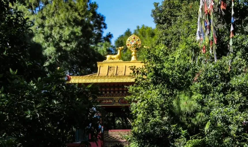 Why Rajasthan Is One of India’s Most Fascinating Travel Destinations