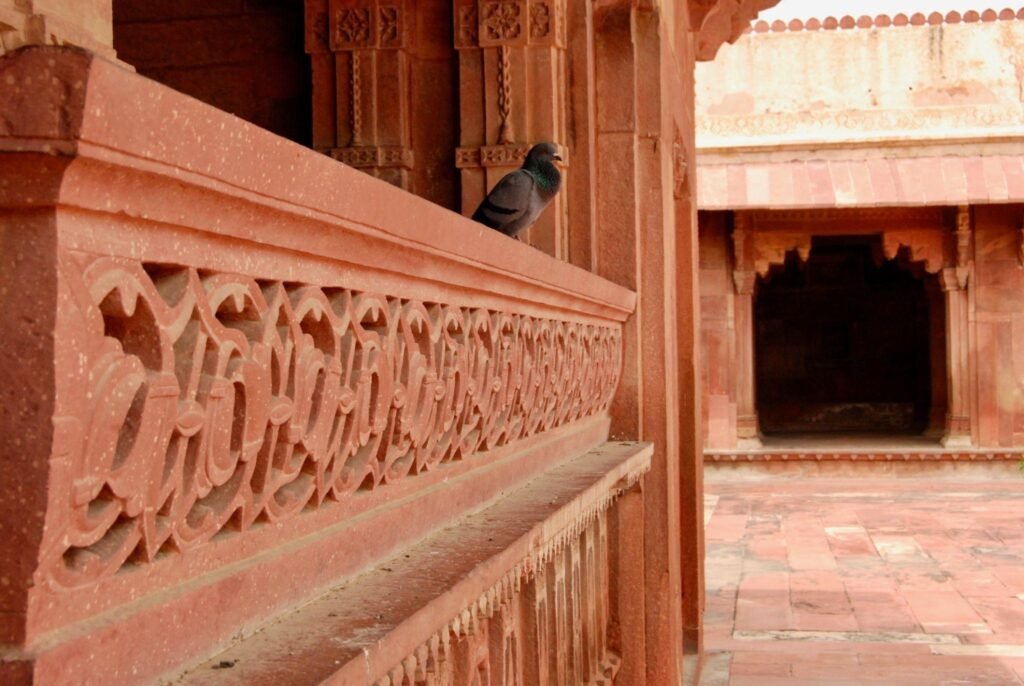 agra fort1