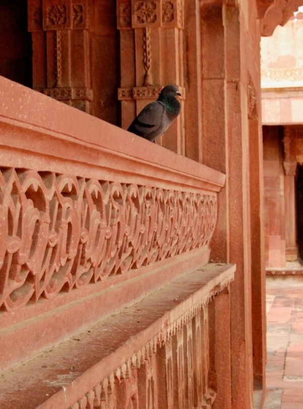 agra fort1