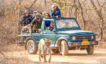 bandhavgarh-jeep-booking