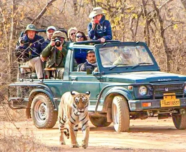 bandhavgarh-jeep-booking