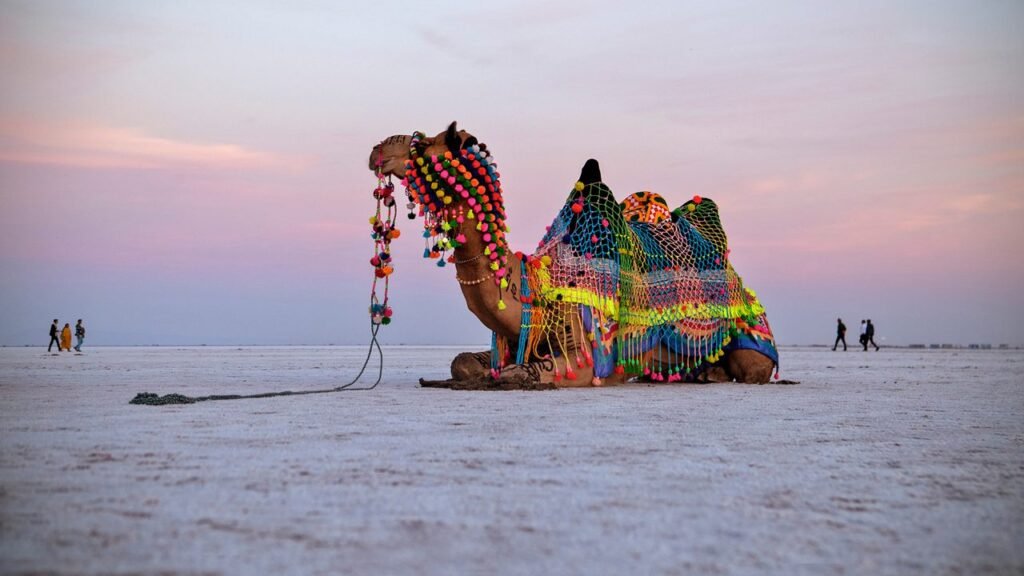 rann-of-kutch