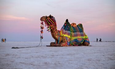 rann-of-kutch