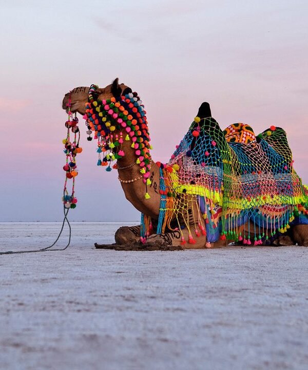 rann-of-kutch
