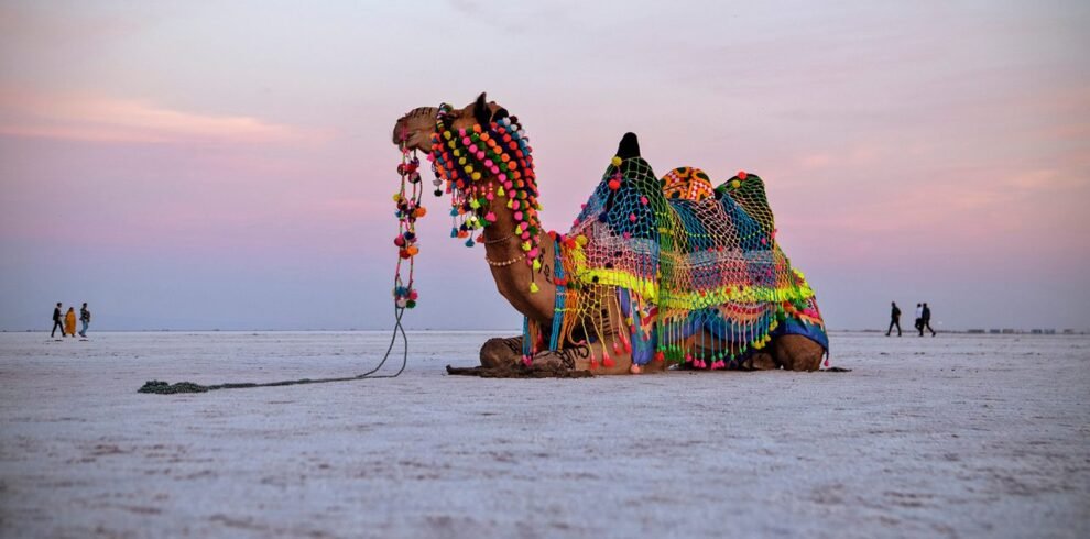rann-of-kutch
