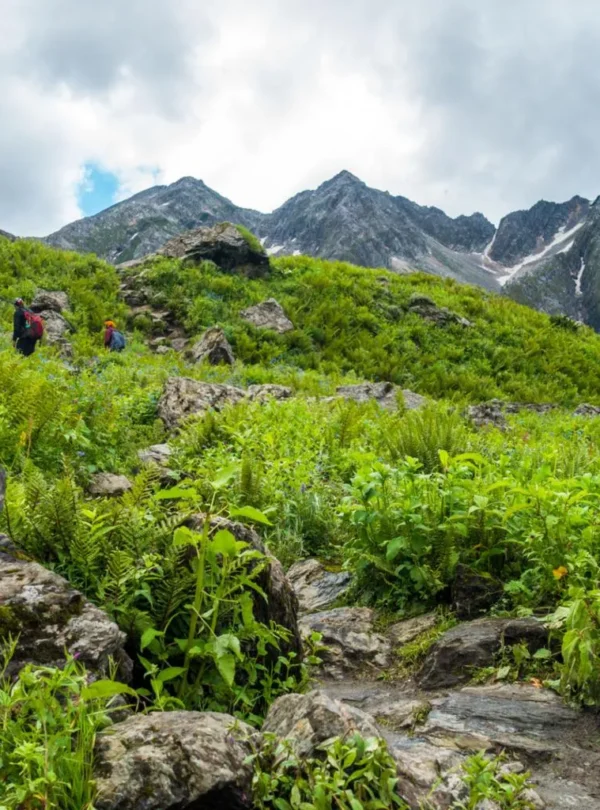 Chandigarh to Shrikhand Mahadev