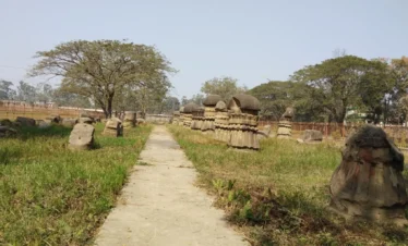 Dimapur Travel Package