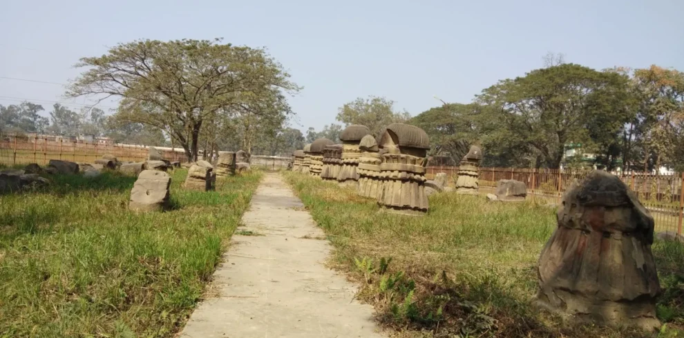 Dimapur Travel Package