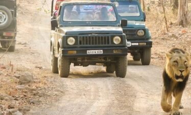 Gujarat Tour Package