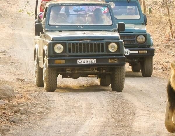 Gujarat Tour Package