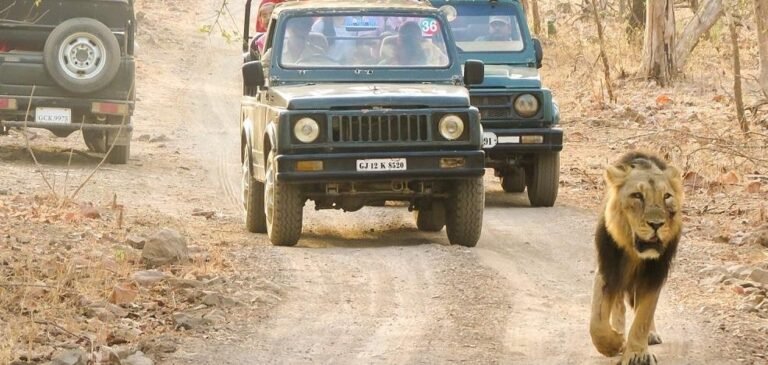 Gujarat Tour Package