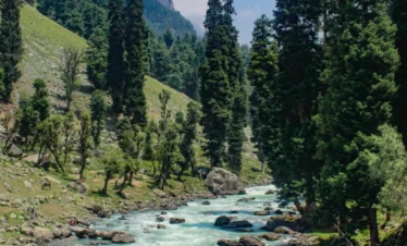 Kashmir Tour Package from Kochi2