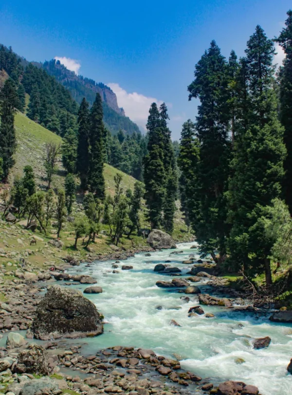 Kashmir Tour Package from Kochi2