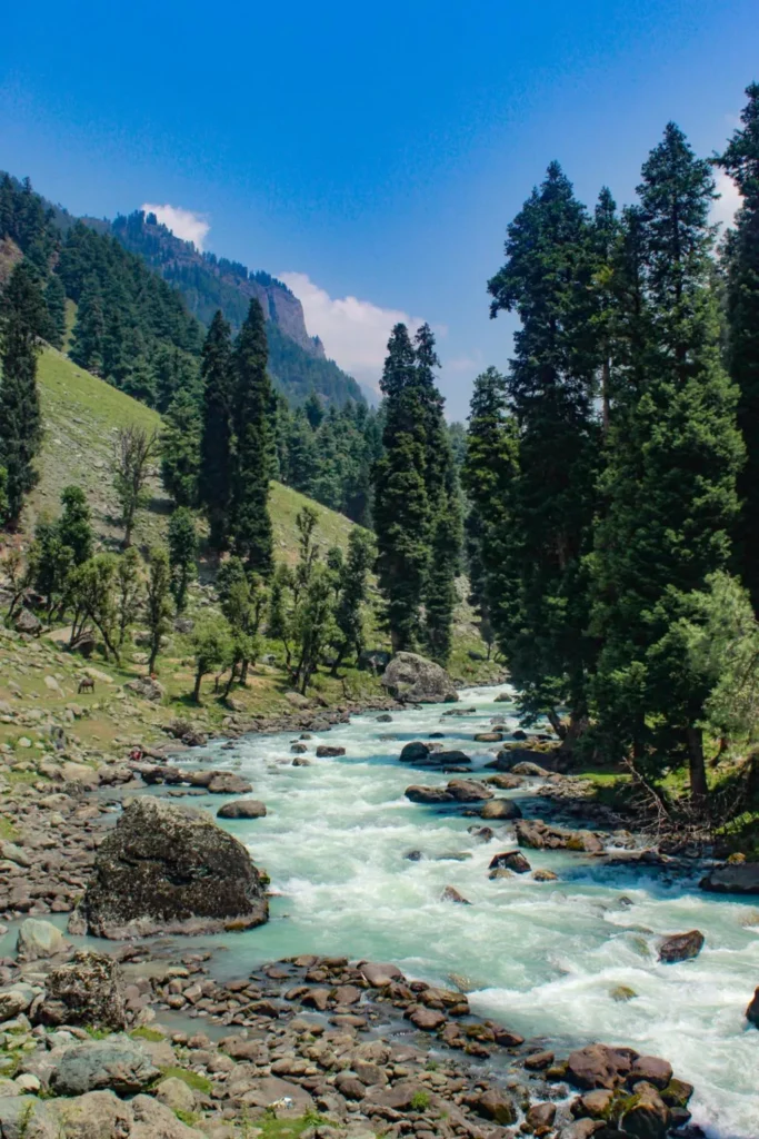 Kashmir Tour Package from Kochi2