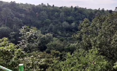 Mallikarjuna Jyotirlinga Tour Package