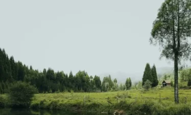 Mawlynnong Tour Package