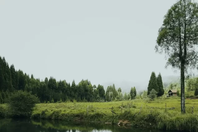 Mawlynnong Tour Package