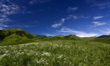 Nagaland Family Tour Package