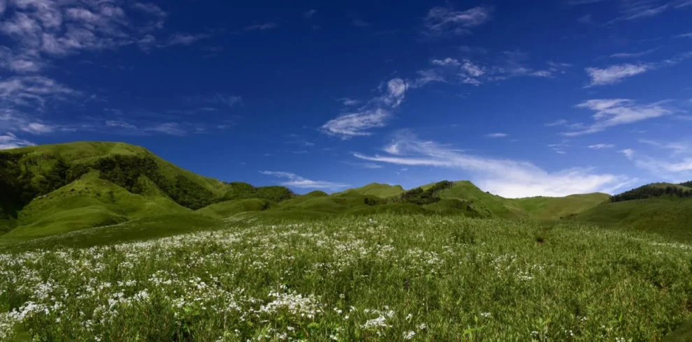 Nagaland Family Tour Package