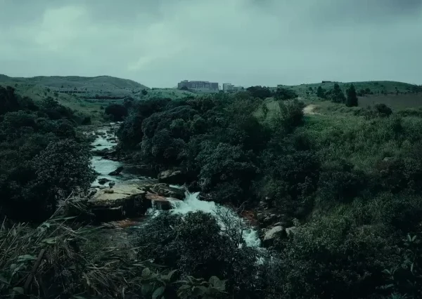 Sikkim Tour Packages From Mumbai