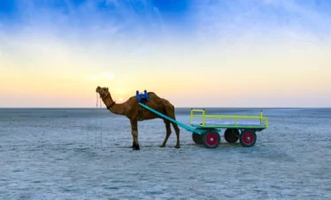 Sizzling Kutch Tour Package