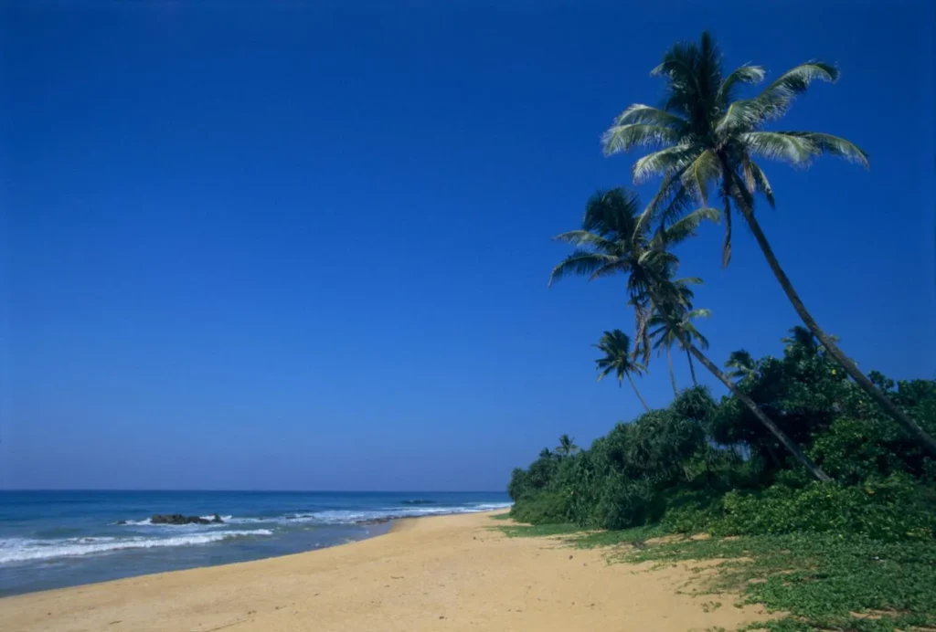 Sri Lanka Holiday Package