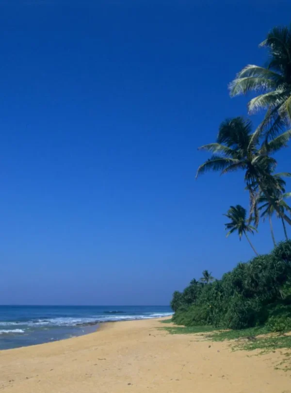 Sri Lanka Holiday Package