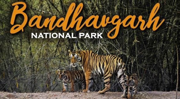 BAndhavgarh National Park