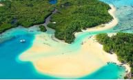 Ile aux cerfs