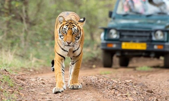 Best Spiritual and Heritage Destinations in Madhya Pradesh