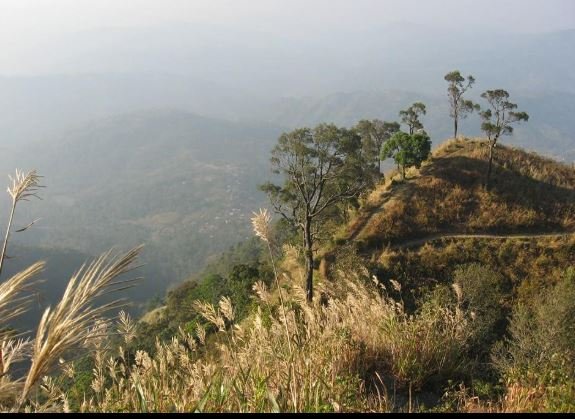 jatinga