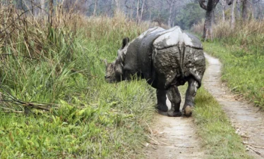 Chitwan1
