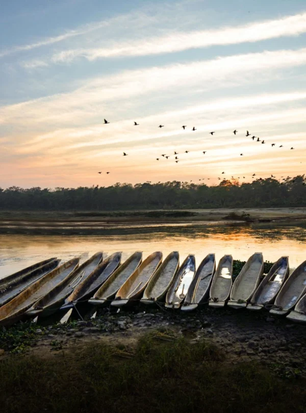Chitwan2c
