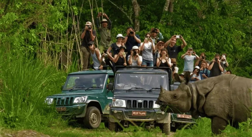 Chitwan5