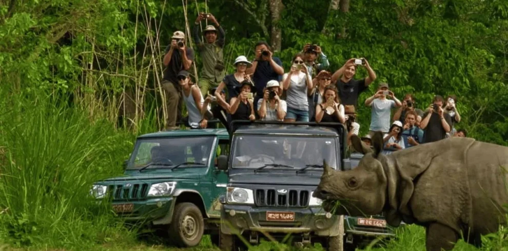 Chitwan5