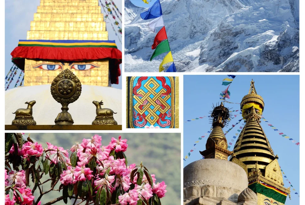 Nepal Tour1