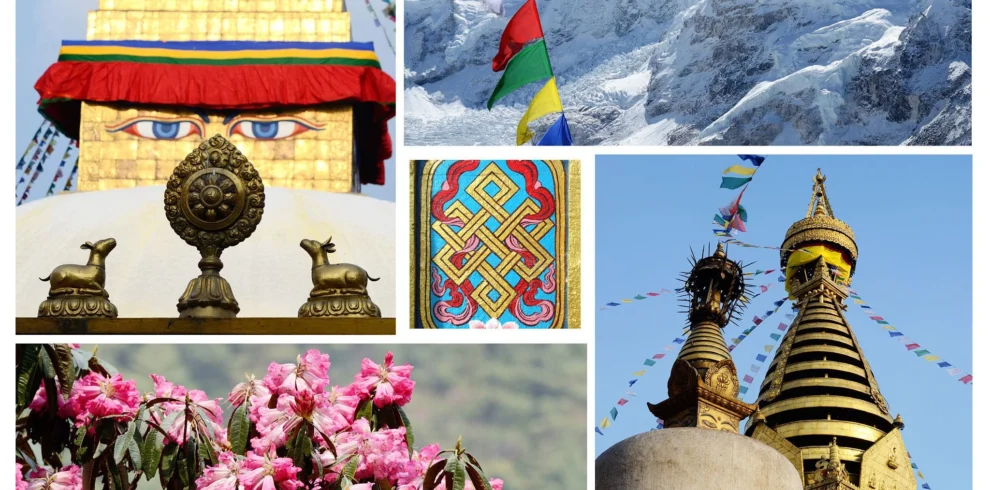 Nepal Tour1