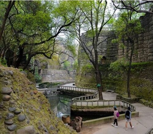 Chandigarh Honeymoon Tour Package