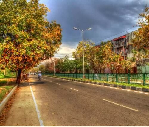 chandigarh city tour2
