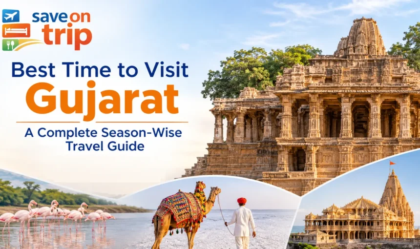 Best Time to Visit Gujarat – A Complete Season-Wise Travel Guide