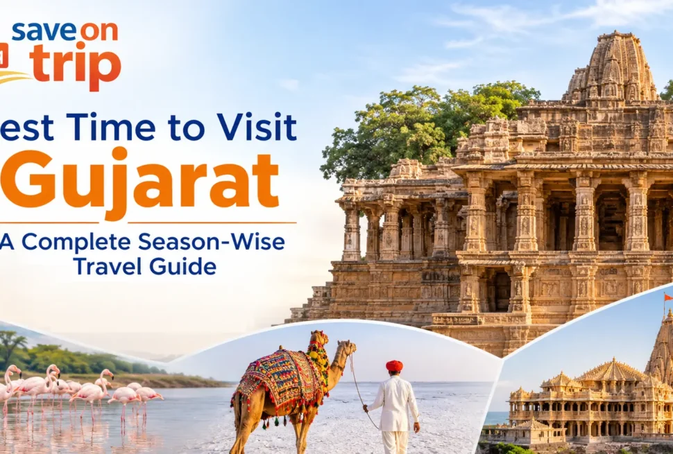 Gujarat Travel_ A Season-Wise Guide