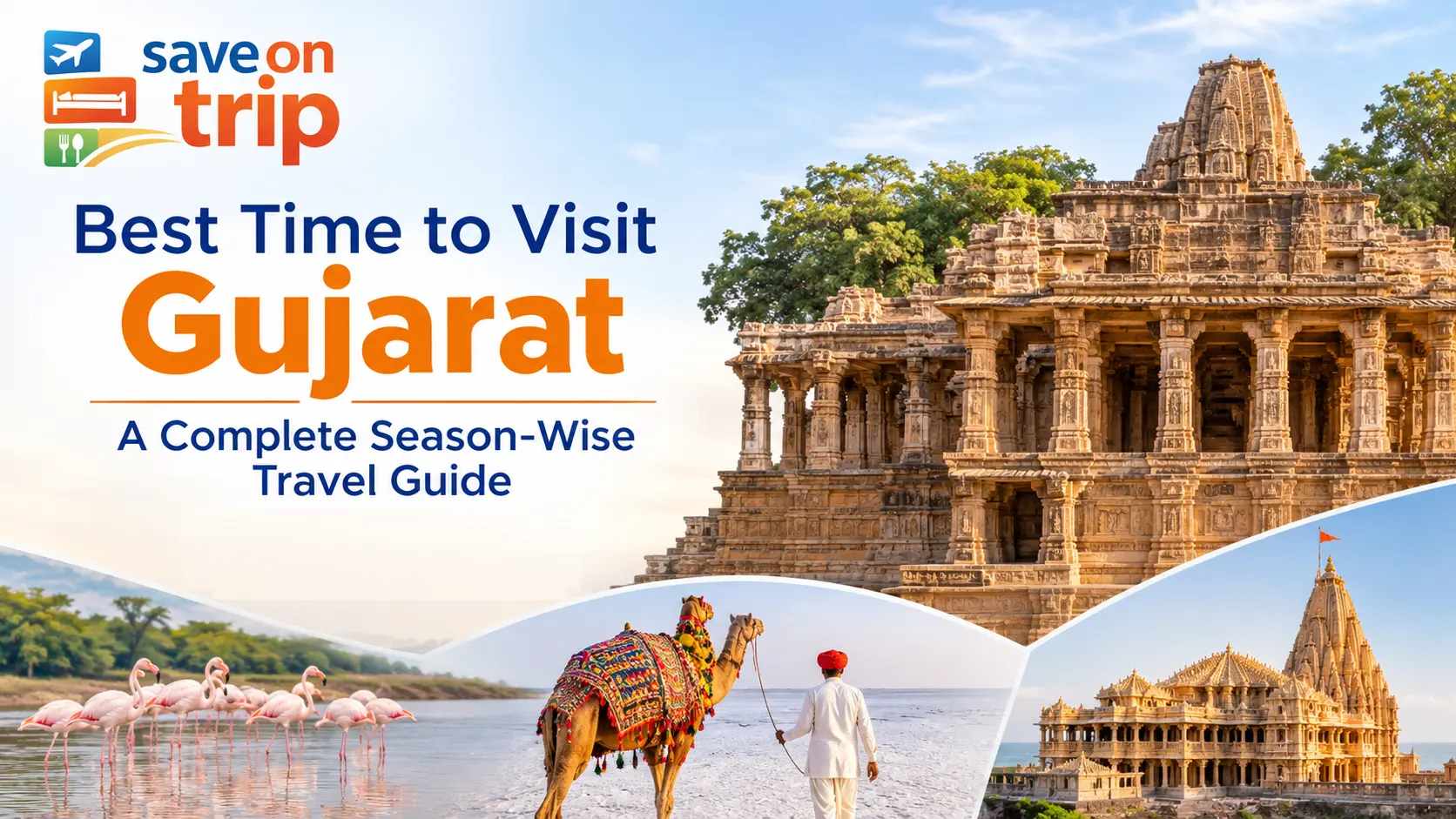 Gujarat Travel_ A Season-Wise Guide